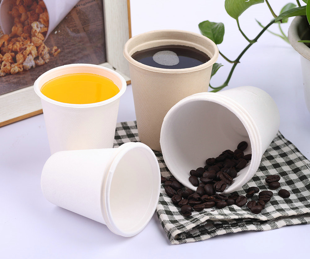 Degradable Pulp tableware（Pulp round box, rectangle box, Burger Box dinner plate)