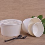 PLA biodegradable paper bowl