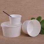 PLA biodegradable paper bowl