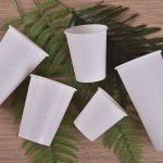 PLA biodegradable paper cup