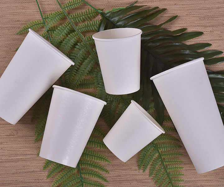 PLA biodegradable paper cup