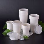 PLA biodegradable paper cup