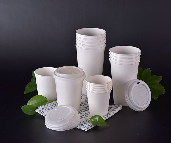 PLA biodegradable paper cup