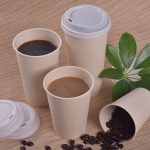 Bamboo pulp paper cup