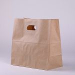 kraft paper bag with handle